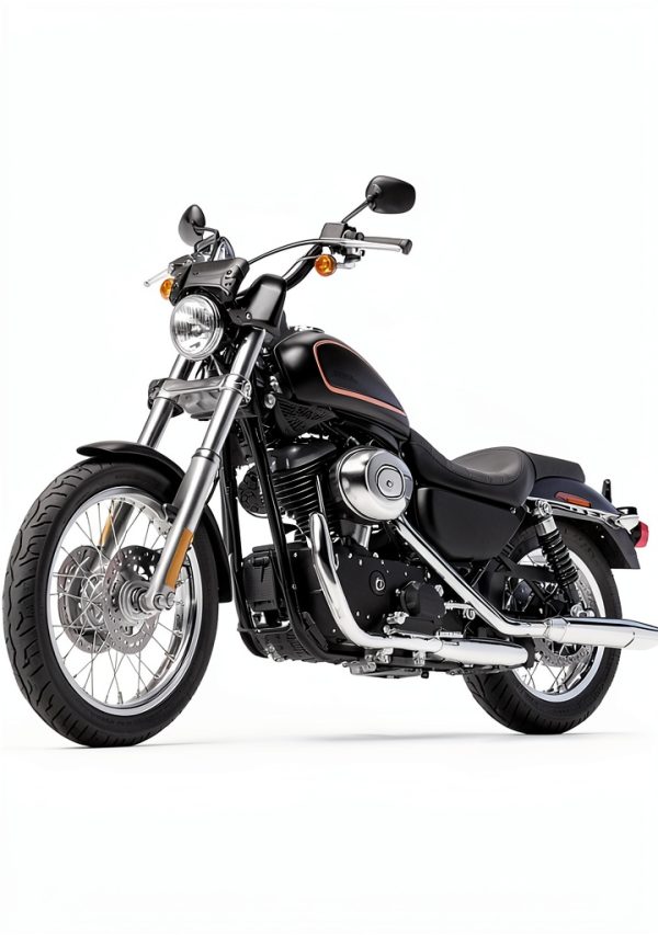 Motorcycle Fork Bag KEMIMOTO Leather Front Mount-7